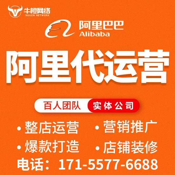梅州电商代运营