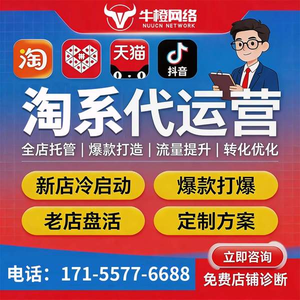 梅州电商代运营