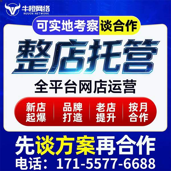 梅州电商代运营