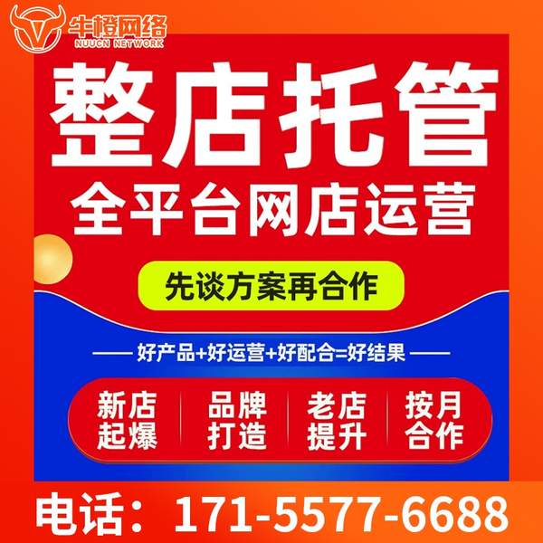 梅州电商代运营