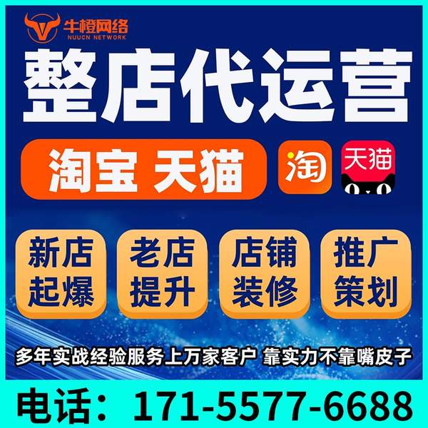 梅州电商代运营