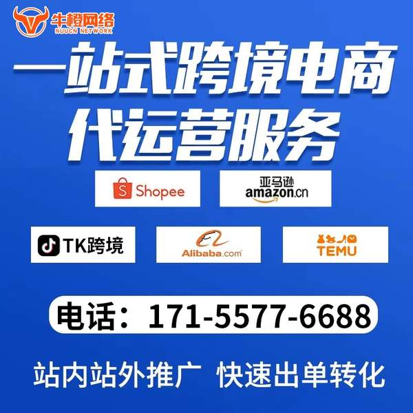 梅州电商代运营