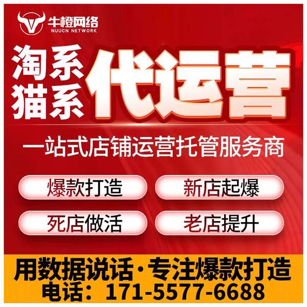 梅州电商代运营